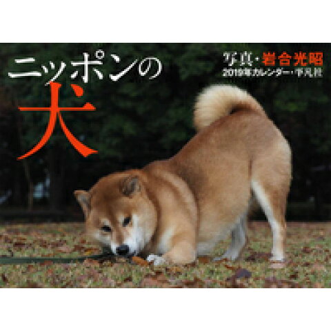Dショッピング ニッポンの犬カレンダー 2019 カレンダー Dショッピング ニッポンの犬カレンダー 2019 カレンダー
